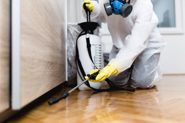 Best Pest Inspection Near Me  in Twin Lakes, NM