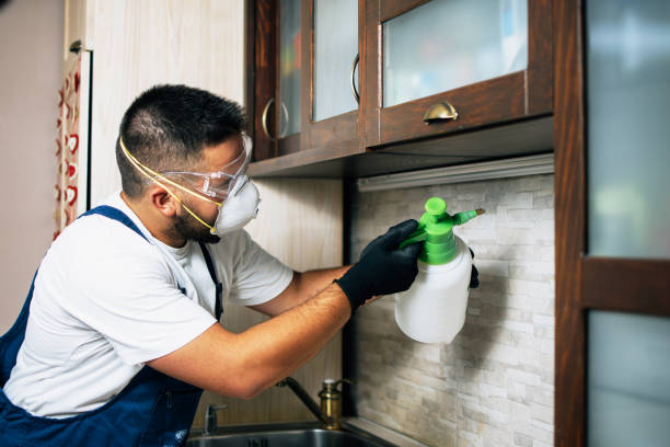 Best Pest Inspection Near Me  in Twin Lakes, NM