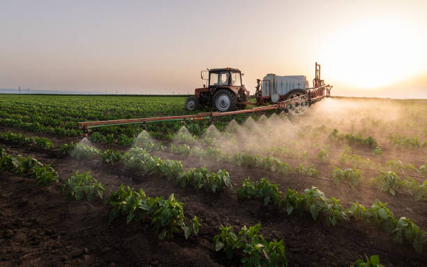 Best Pest Prevention Services  in Twin Lakes, NM