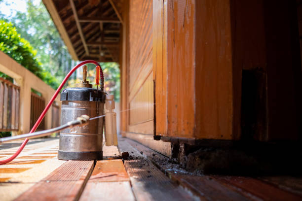 Best Pest Control for Businesses  in Twin Lakes, NM