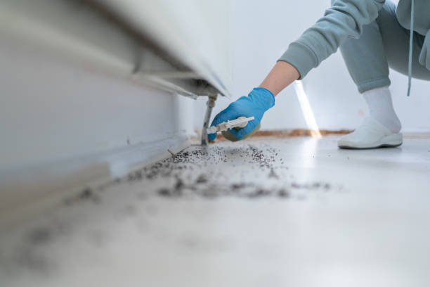 Best Exterminator Services  in Twin Lakes, NM